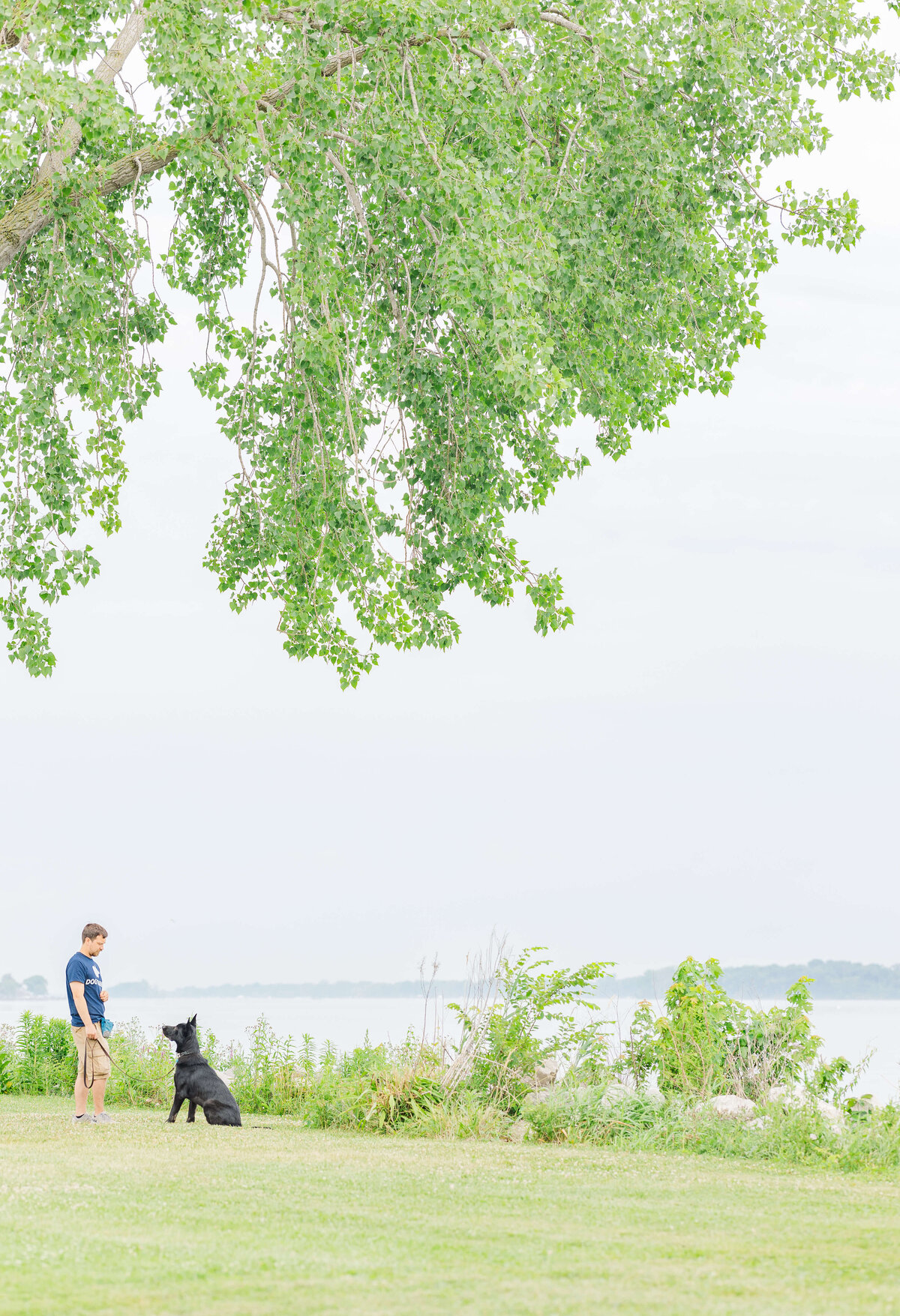 Black shepherd sitting with a Dogology University trainer under a tree at a Michigan state park during a day training session