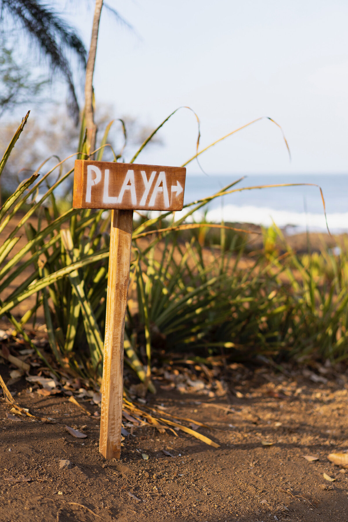 yoga and wellness retreat