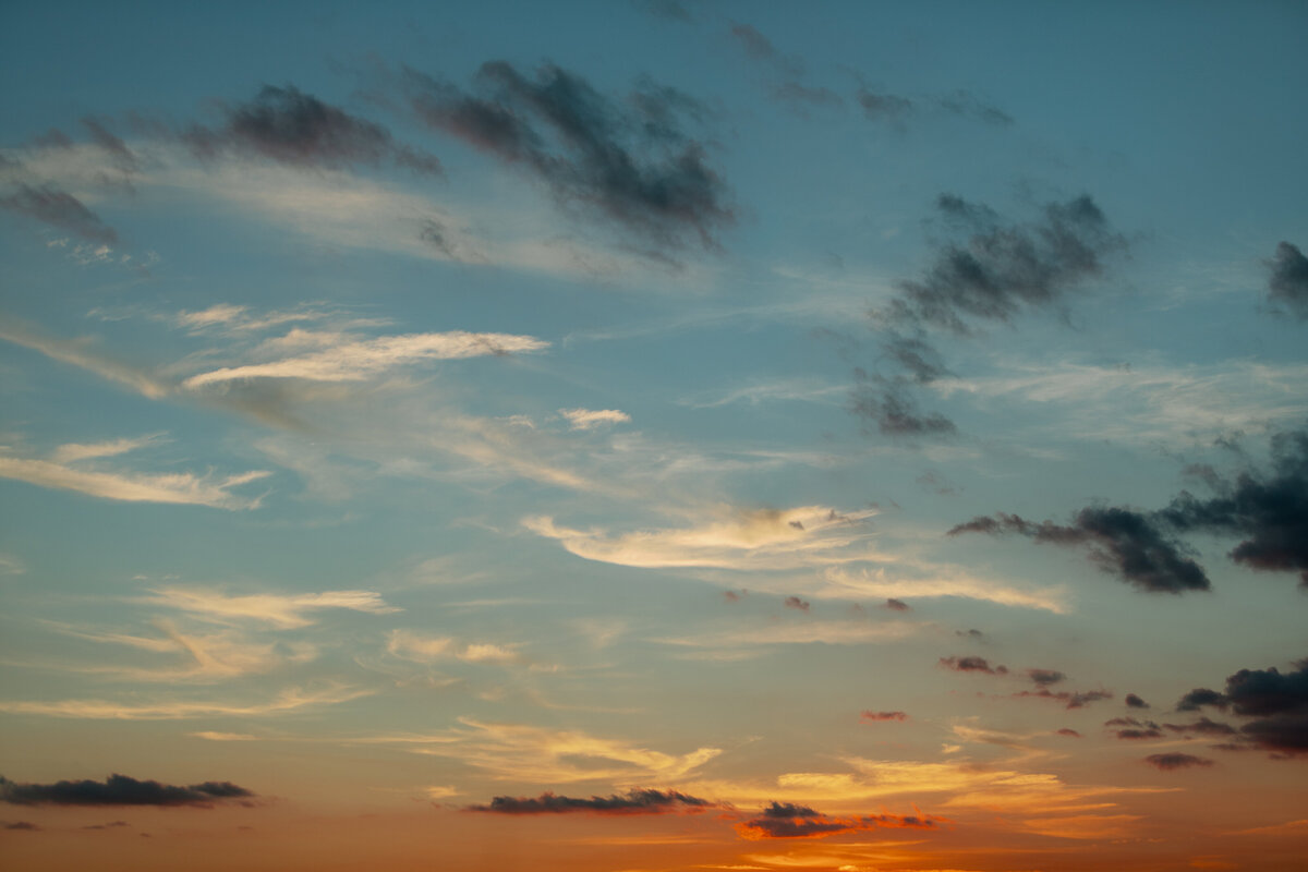 TheLocalPhotos_edited-5