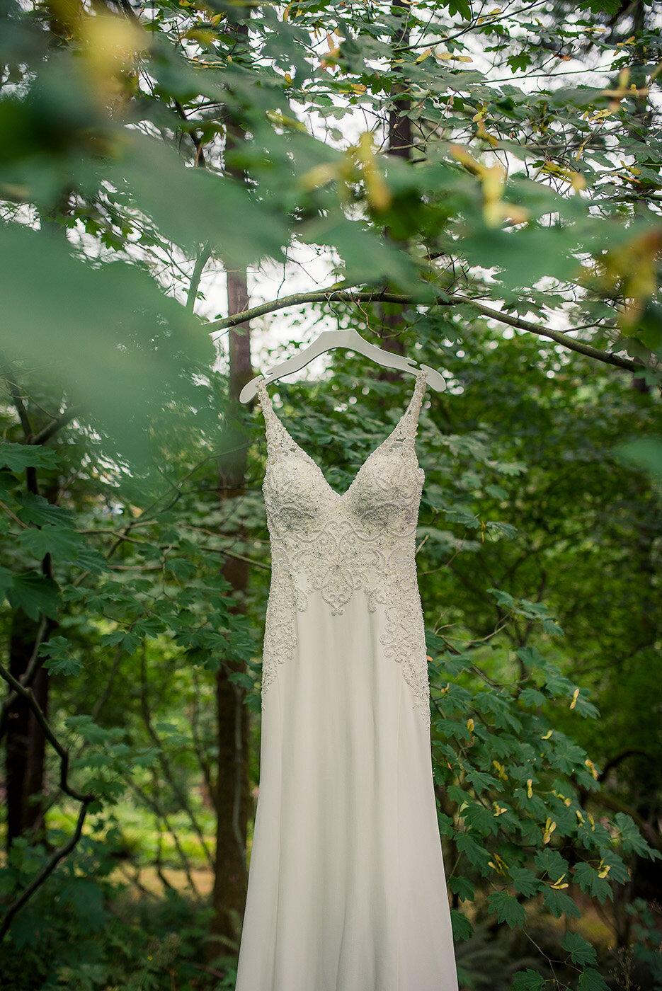wedding gown hanging in tree