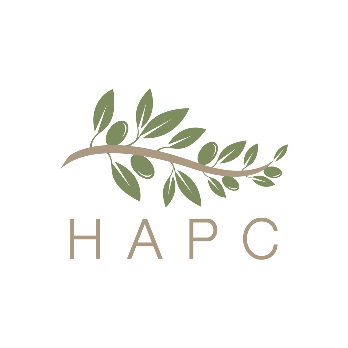 Hagerstown Area Pregnancy Clinic logo