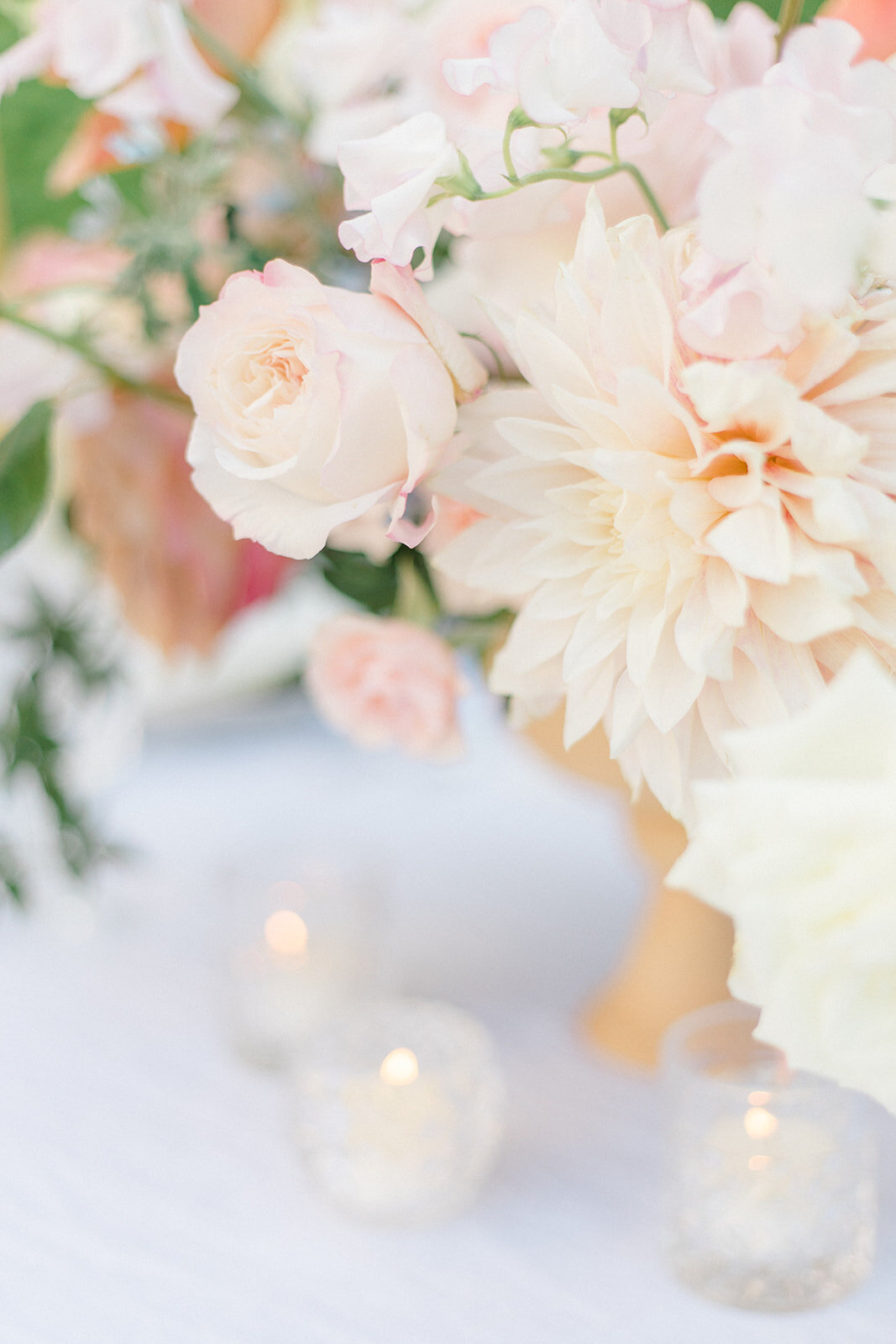 Kristin-Sautter-Photography-Close-Up-9_websize