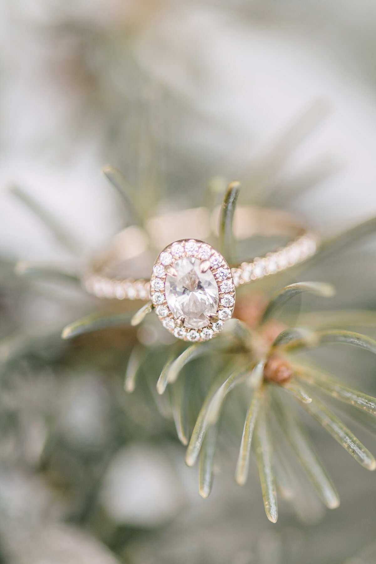 GunflintLodgeWeddingElopementTrailGrandMarais-14