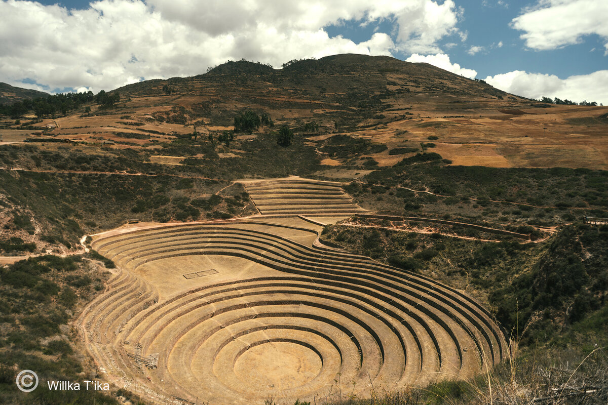 Moray Circles