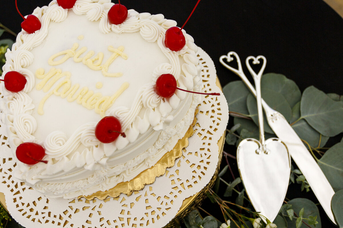 Wedding_Madison+David_021525-160