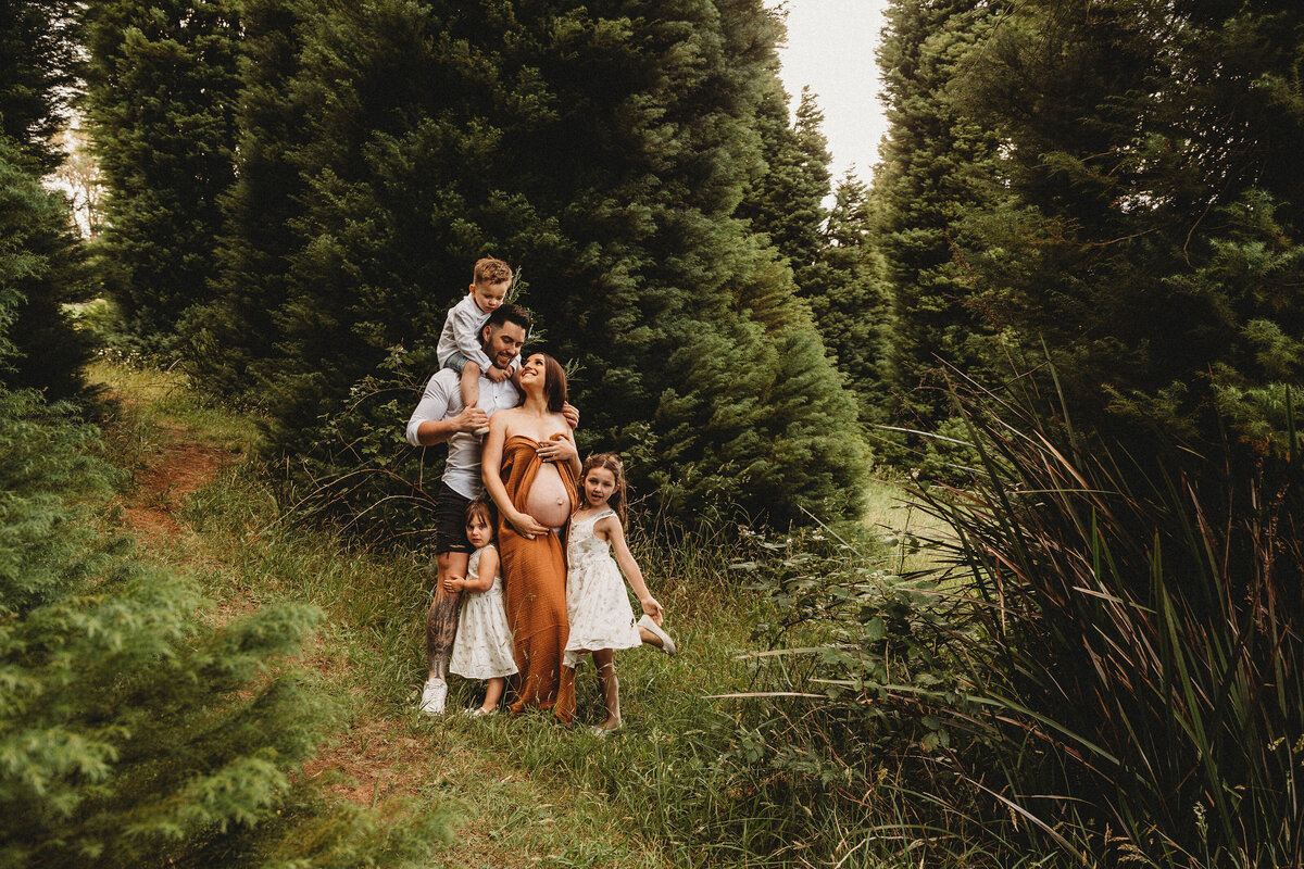 Family cuddle pregnant mum amongst pine trees in Maternity photography Melbourne