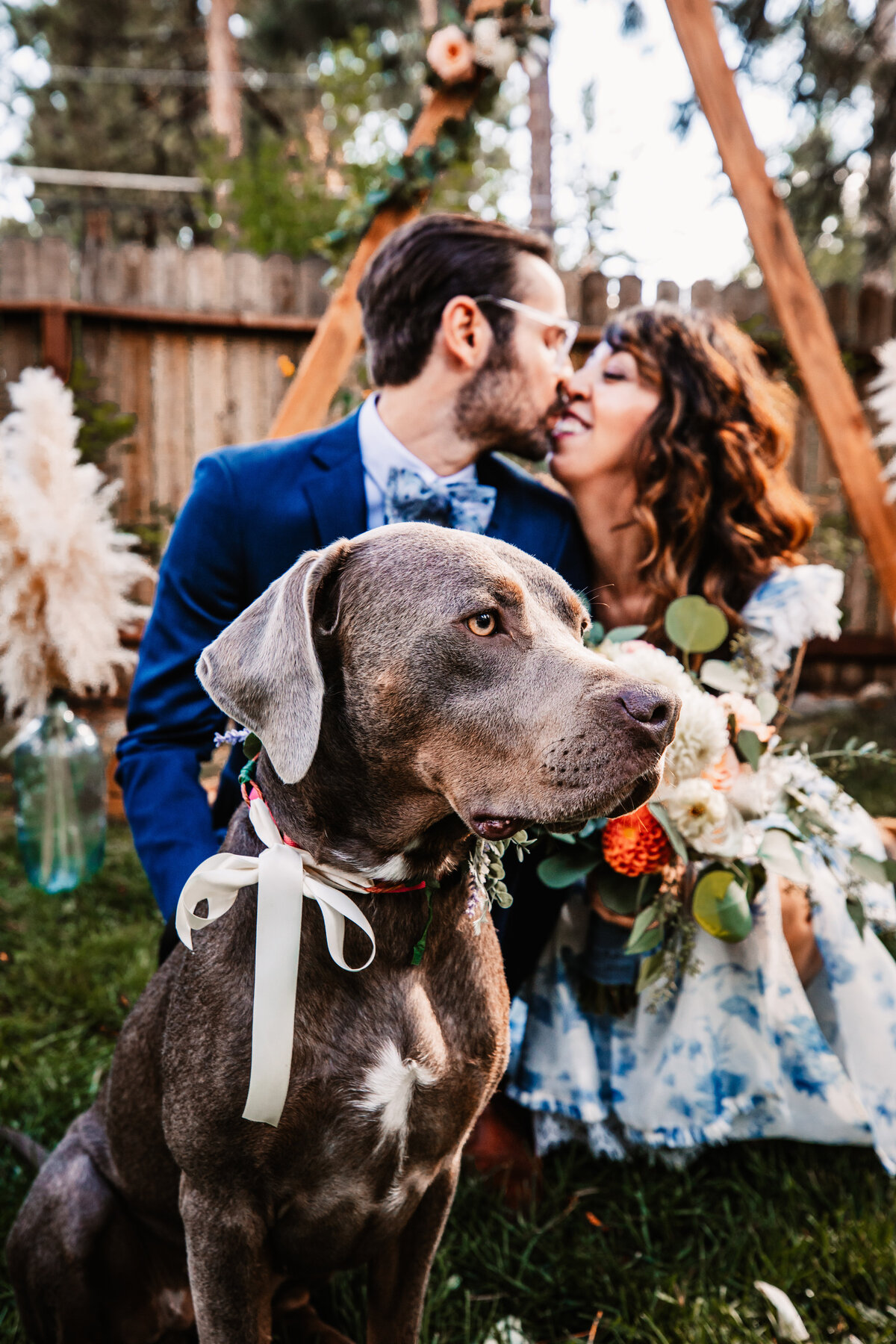 Bride and groom sharing a joyful moment during their Lake Tahoe elopement, with their dog dressed for the occasion in a white ribbon, sitting proudly in the foreground.