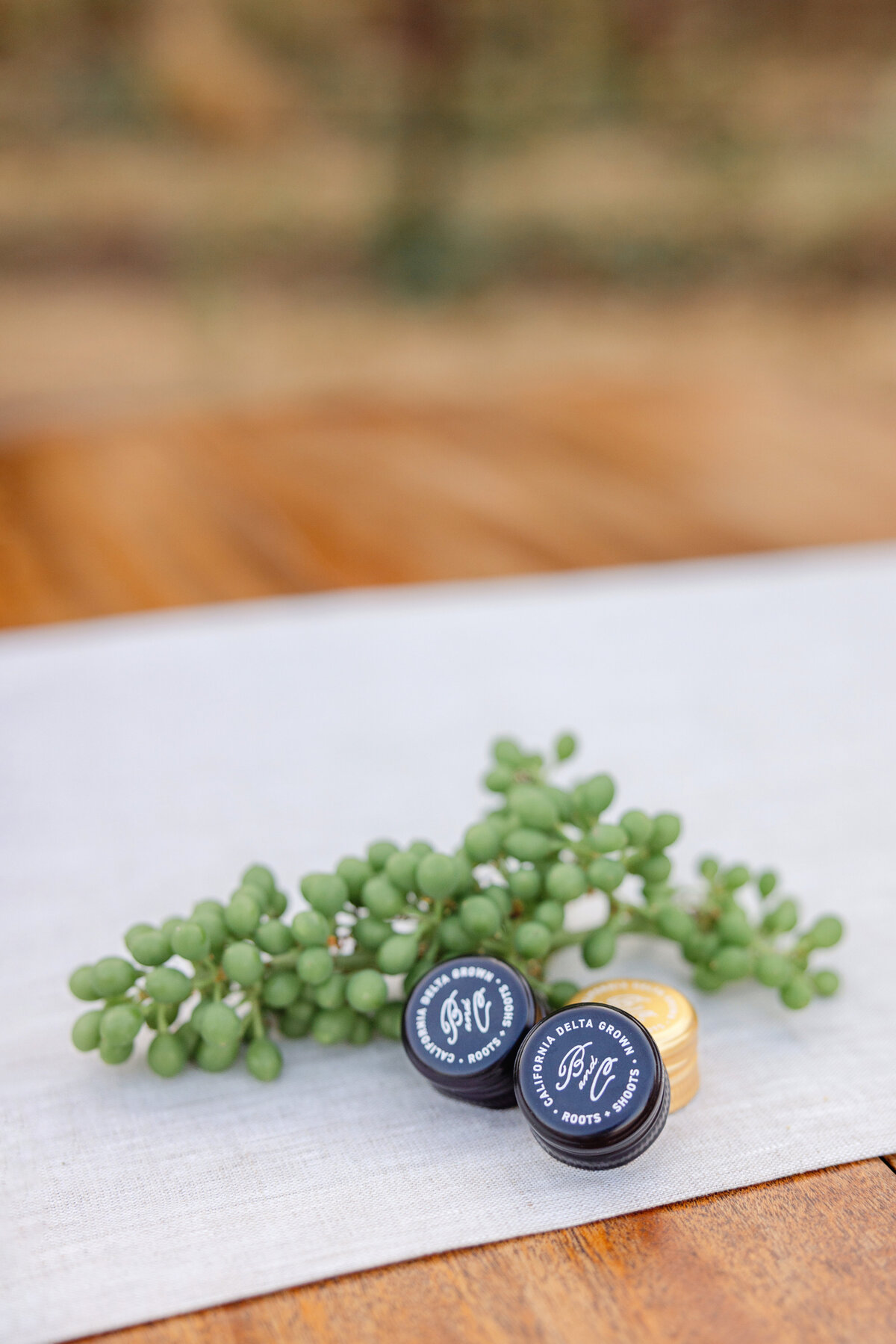 nicolehodgsonphotography_brand_pressley-52