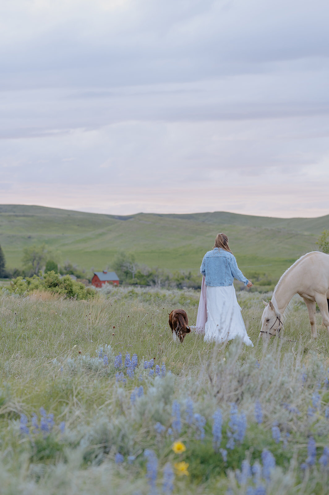 Carly-Patrick-Sheridan-Wyoming-Elopement-366