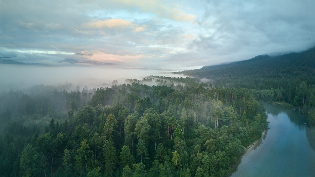 Morgennebel über Fluss und Wald im Naturpark Schütt – stimmungsvolle Alpenlandschaft, festgehalten von Atelier Schulte, Spezialist für professionelle Landschaftsfotografie in ganz Österreich