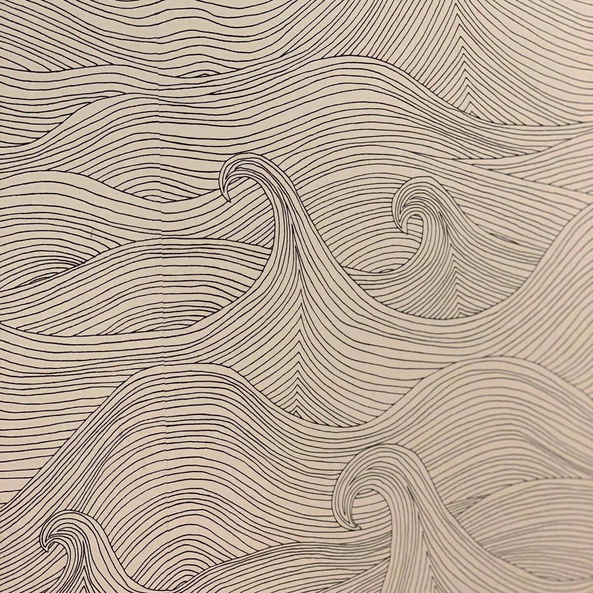 95663852_2613088112302840_7530860081315840000_n