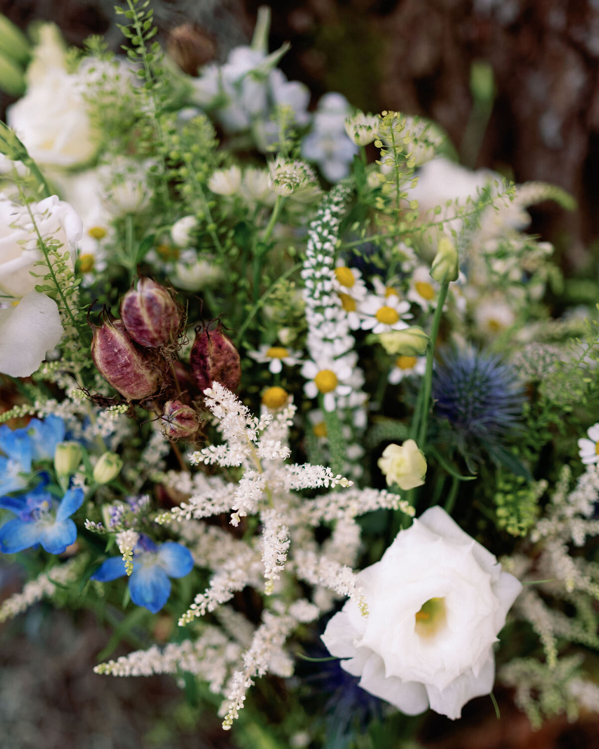 Wedding At Runnymede Plantation, Charleston, SC