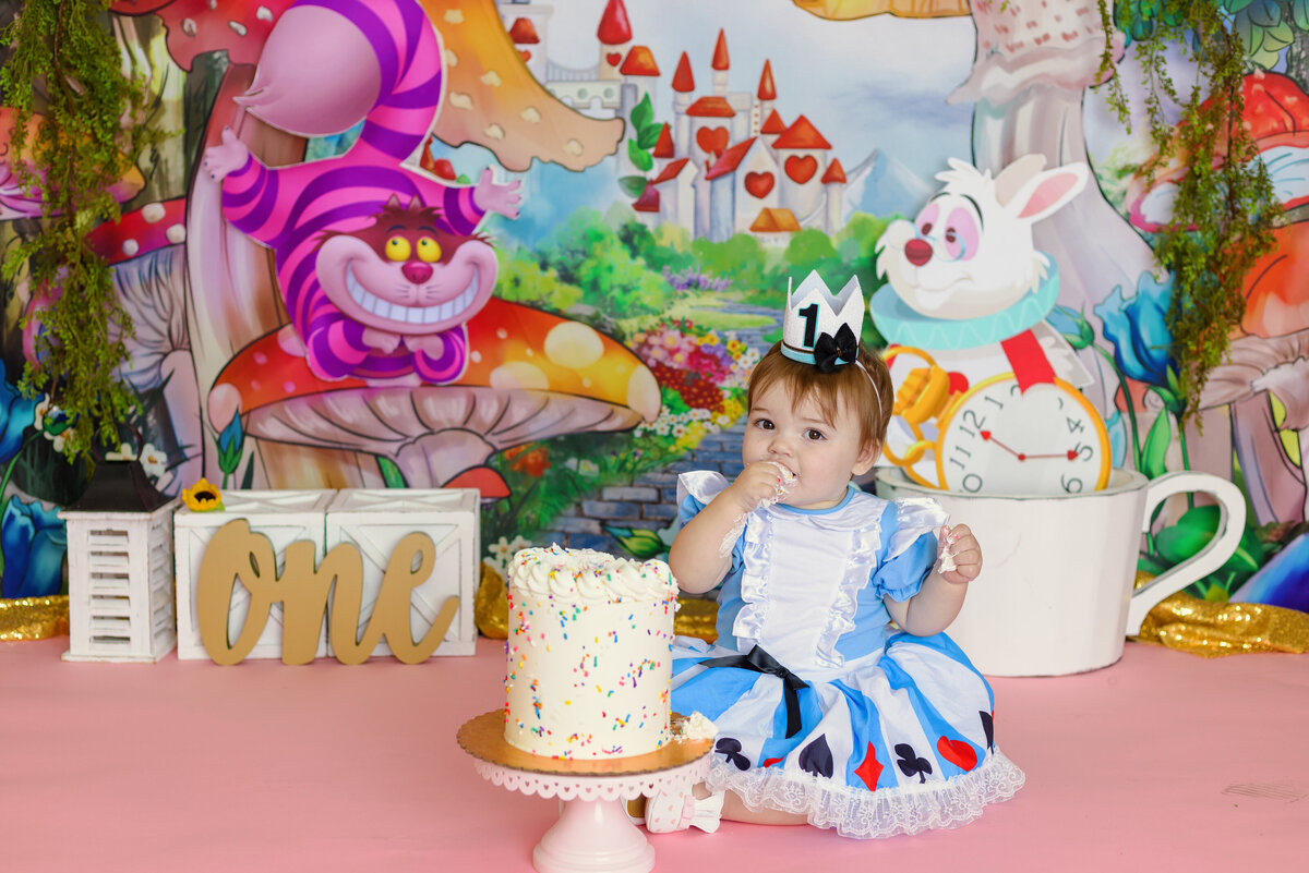 Alice-1 copy