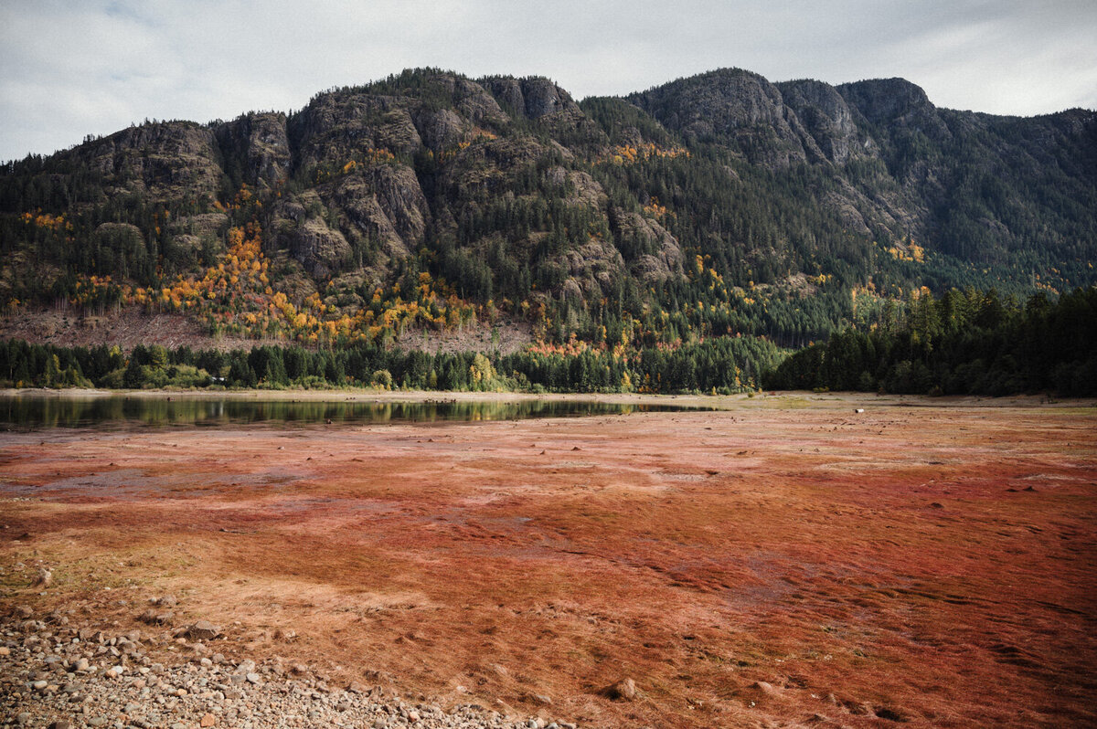 Strathcona Park Elopement-48