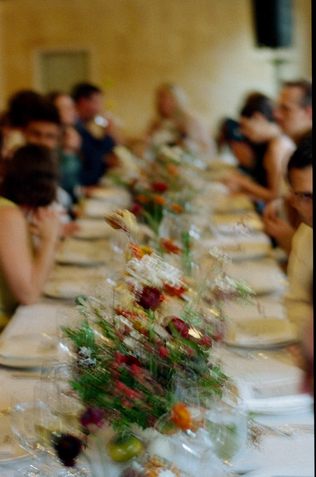 Tal+Will-Marin-Headlands-Center-for-the-Arts-Wedding-17