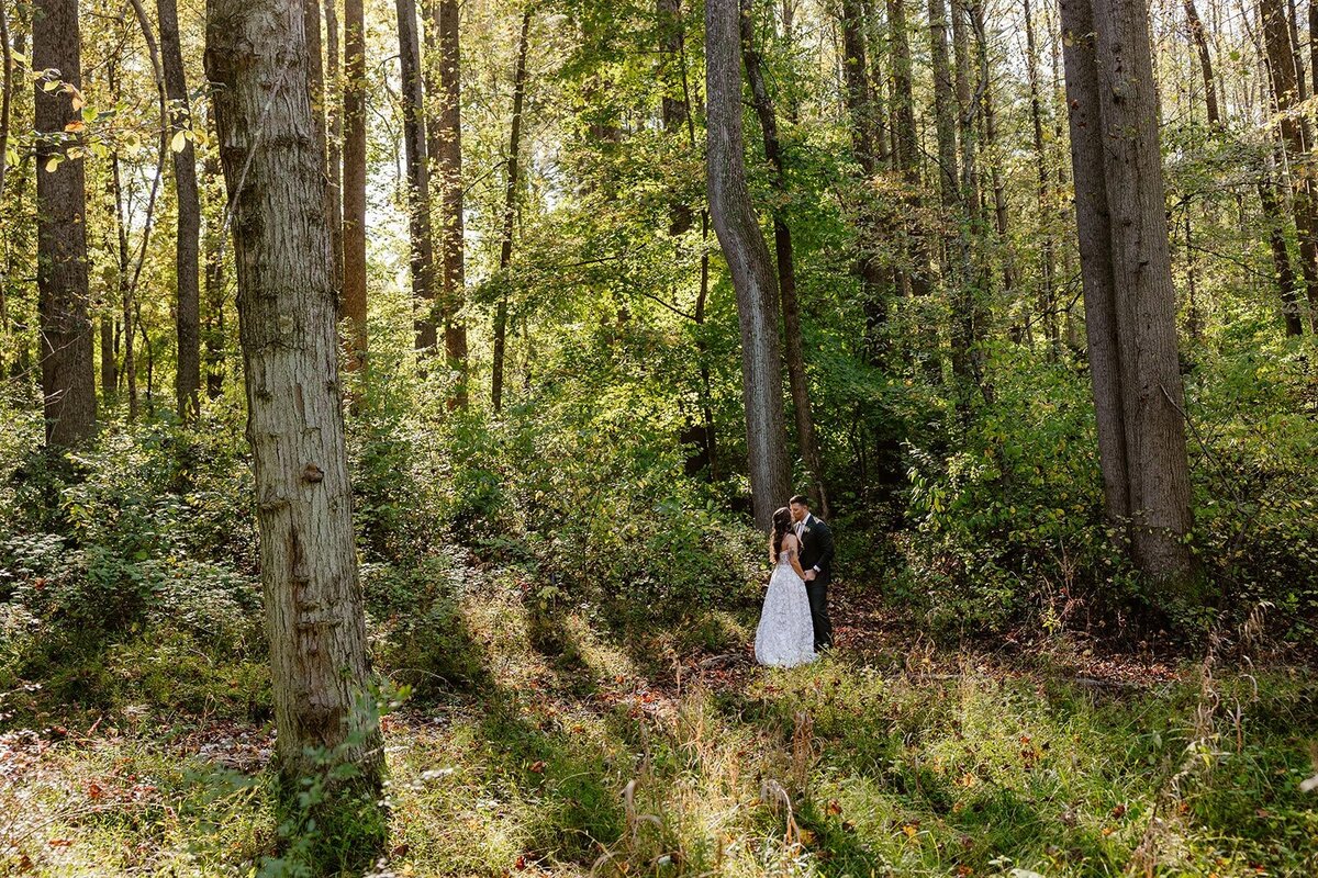 A portrait of a couple in the woods on their wedding day. The sun is shining through the trees.