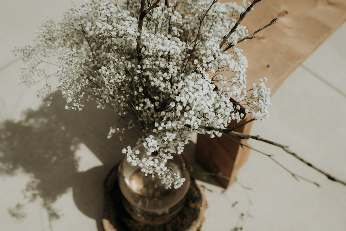 ZettelPhotography-8181