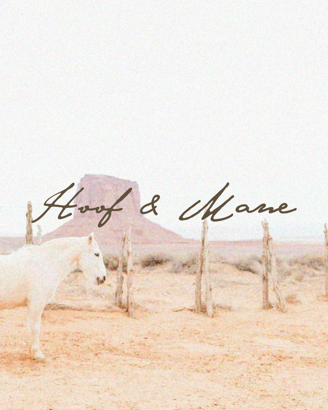 Visual identity meets Western elegance—this project was a dream for a brand designer