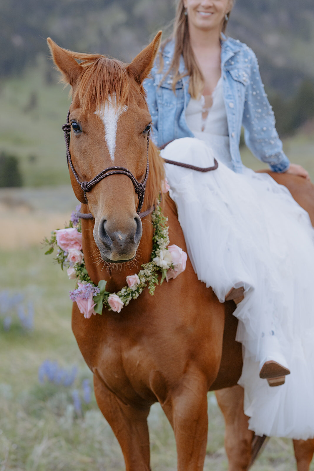 Carly-Patrick-Sheridan-Wyoming-Elopement-343