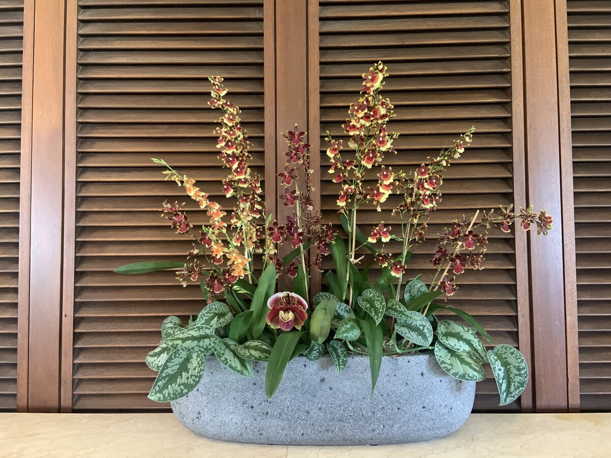 exotic orchid arrangement