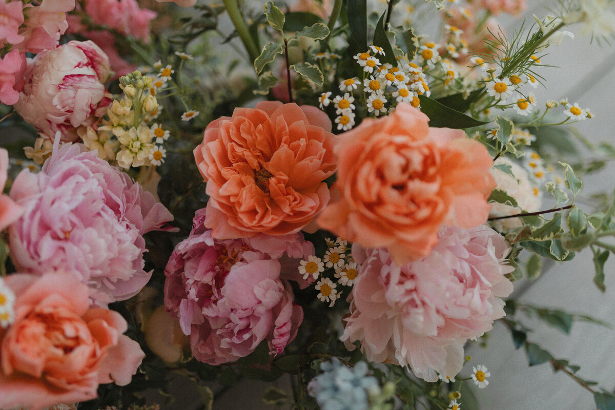 WED_1062