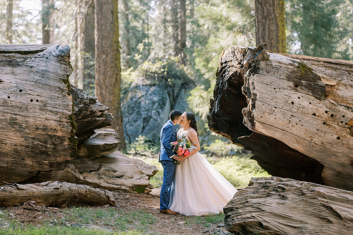 Brit and Carley Elopement in Sequoia National Park-234_websize