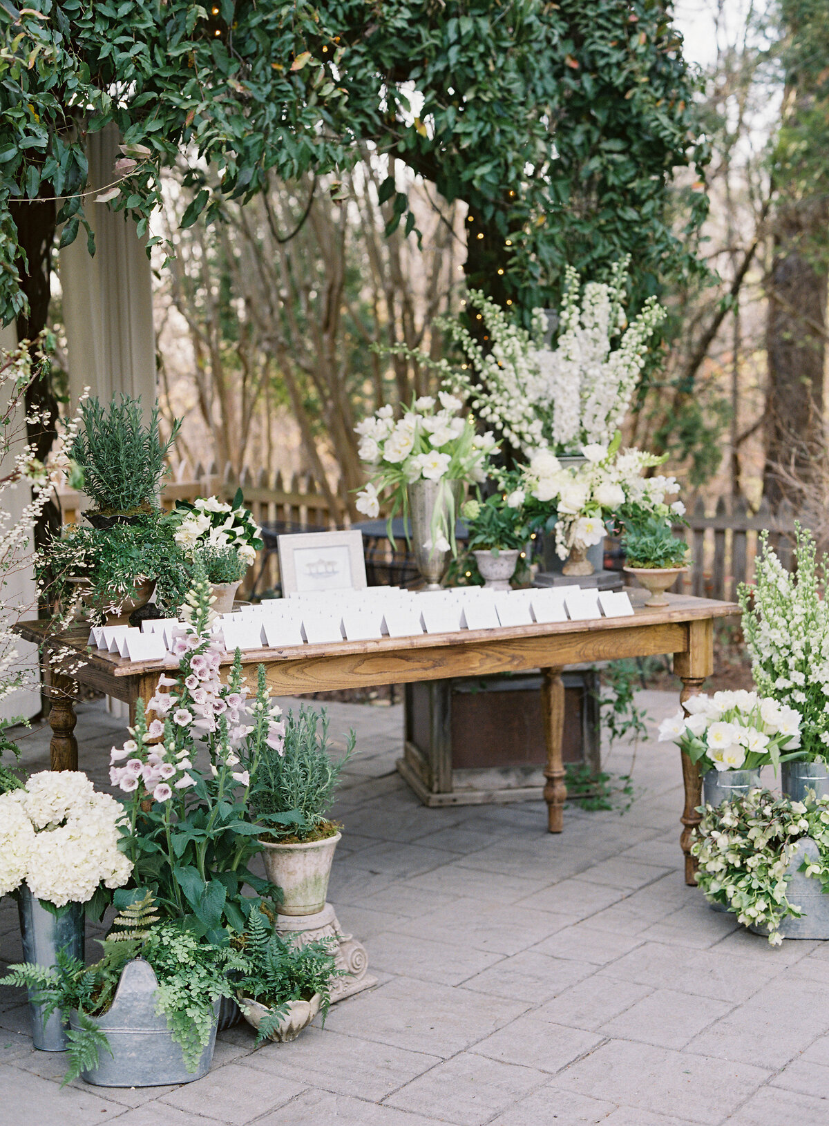 lauragordonphotography_tazandrob-654
