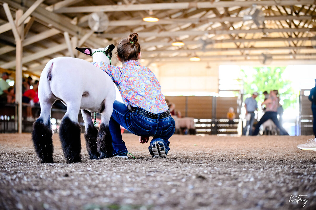 girl kneeling next to lamb watching show