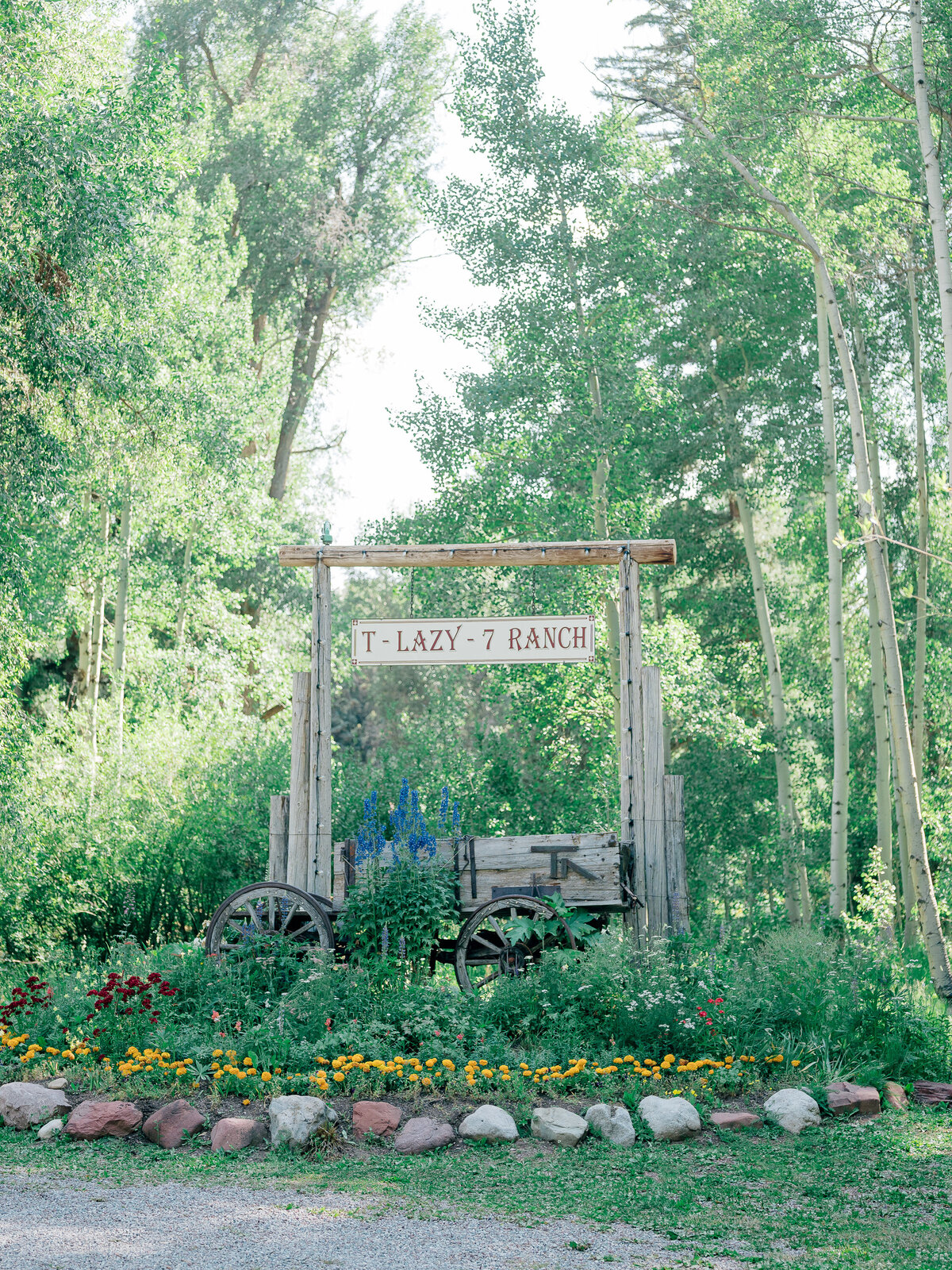t-lazy-7-wedding-10