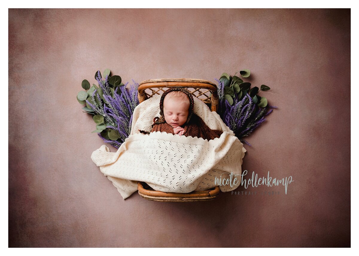 St cloud MN Area Newborn Photographers | Neutrals and Earth Tones