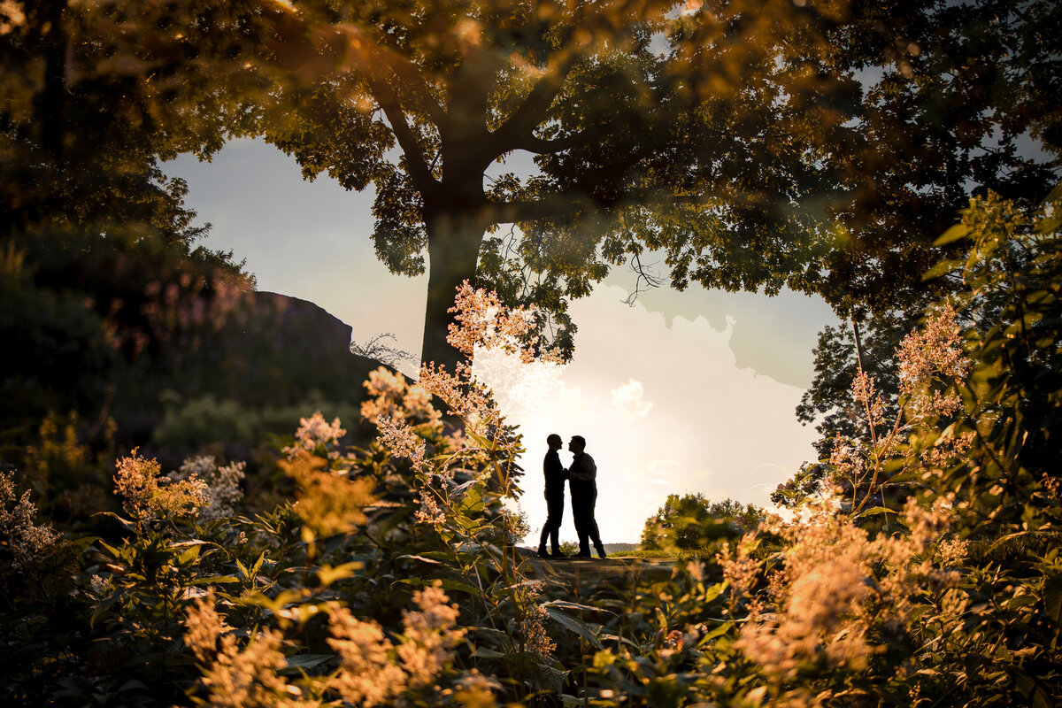 A couple in the distance about to kiss with trees and plants surrounding them.