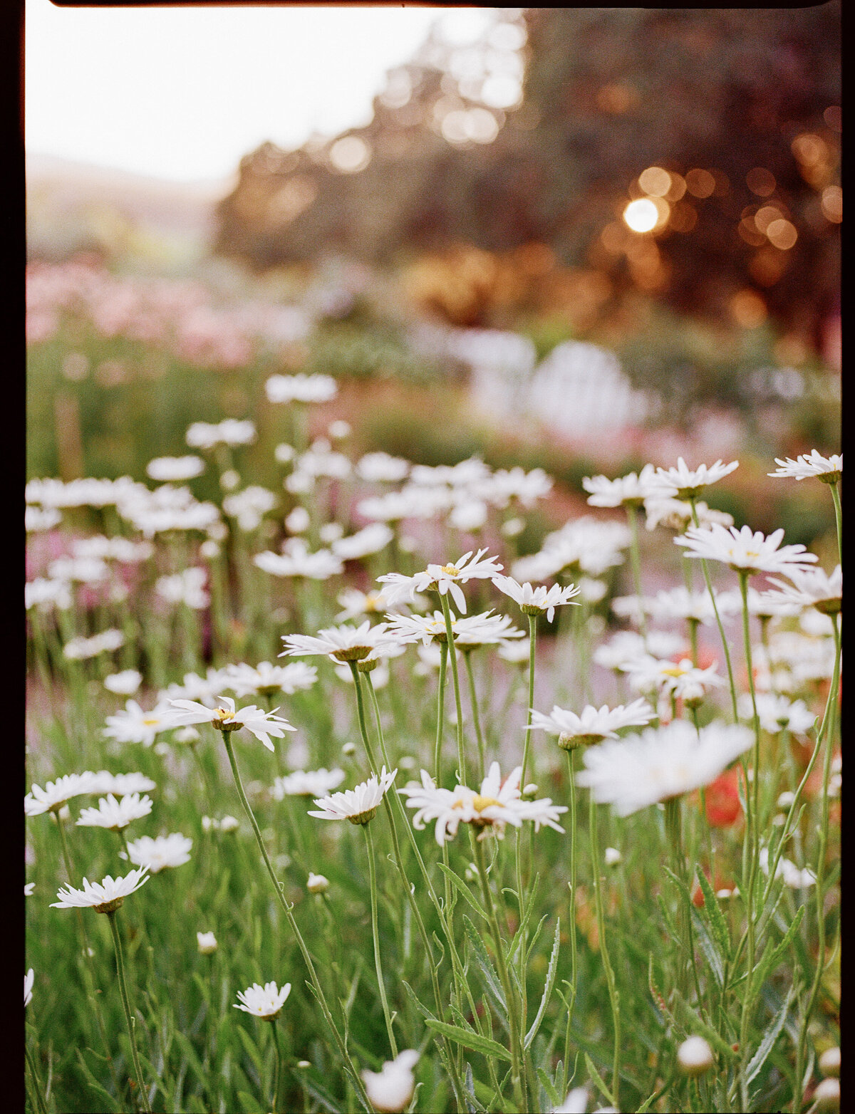NatalieMax-Wedding-crystalkphotos-681
