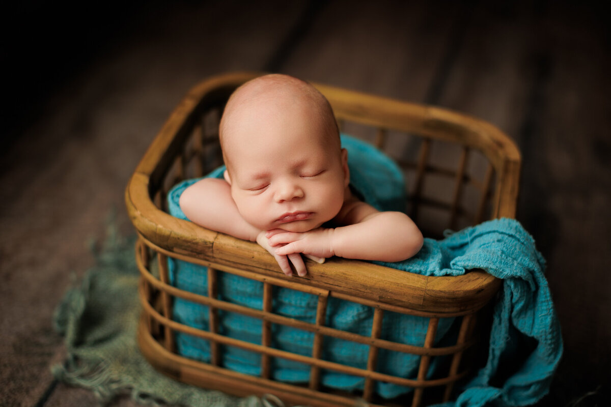 NWA newborn photographer, newborn portraits NW Arkansas