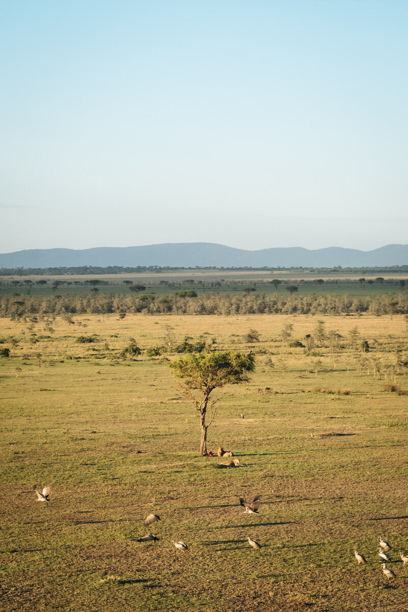leila-brewster-photography-tanzania-0823