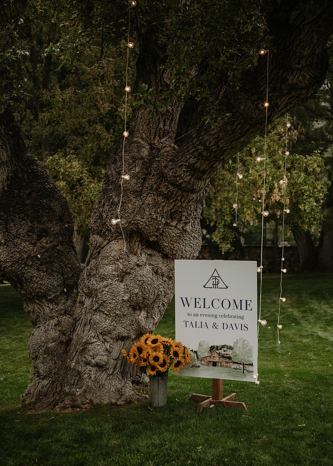 D&T-peeks_SarahHallPhoto-3