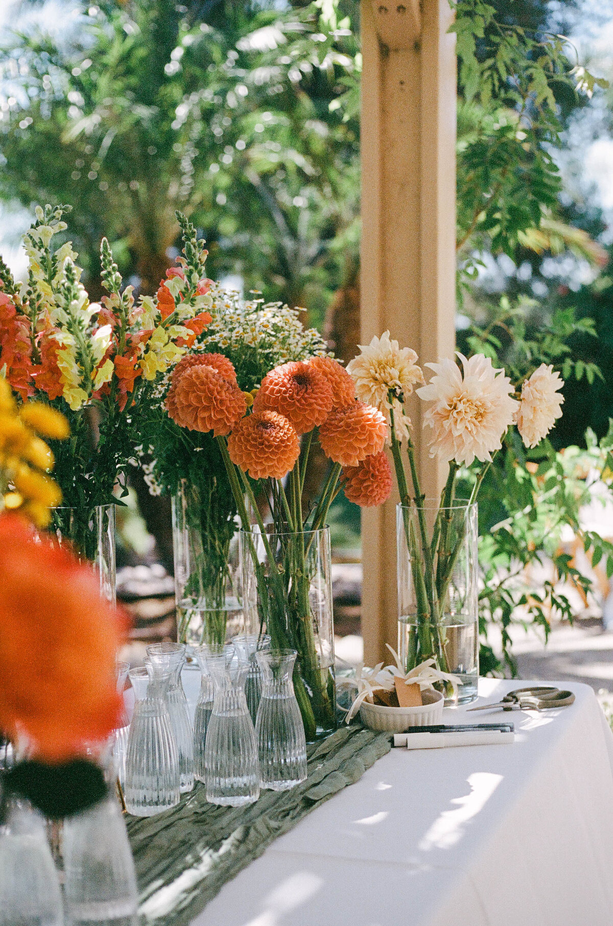 adrianamichelephotography_innout-53