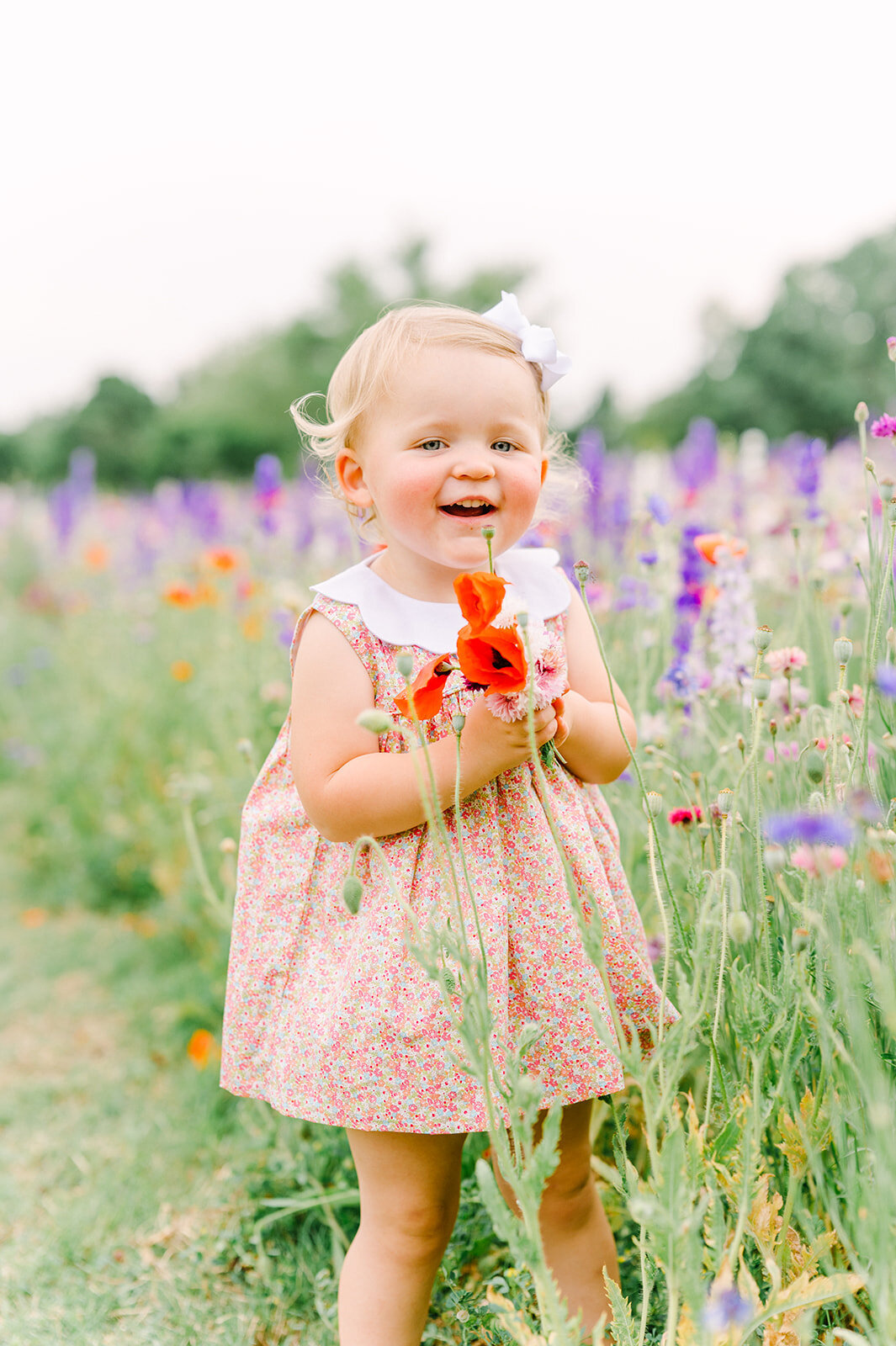 dallas-wildflower-photography-16