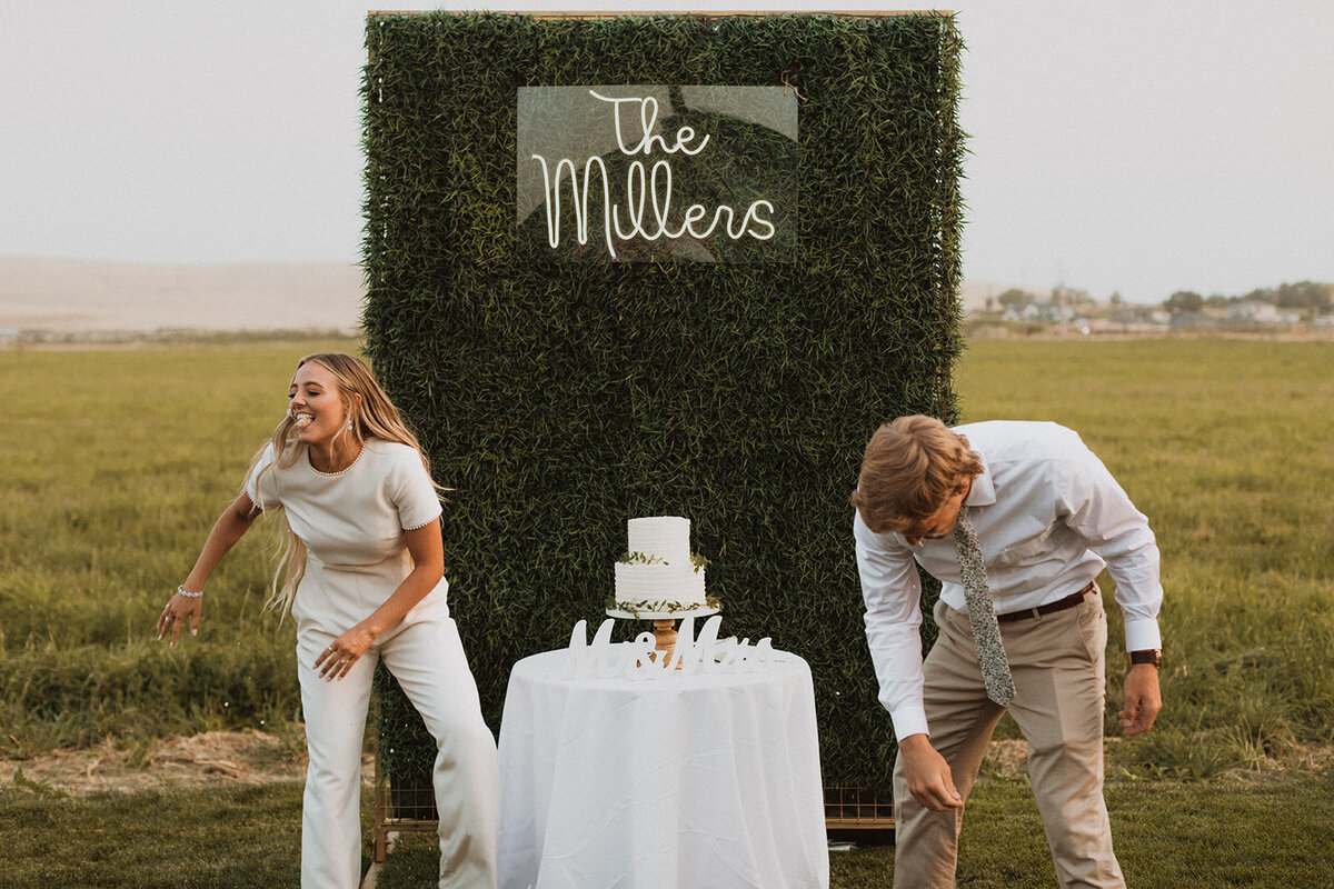 Wedding_Cake_Smash_3