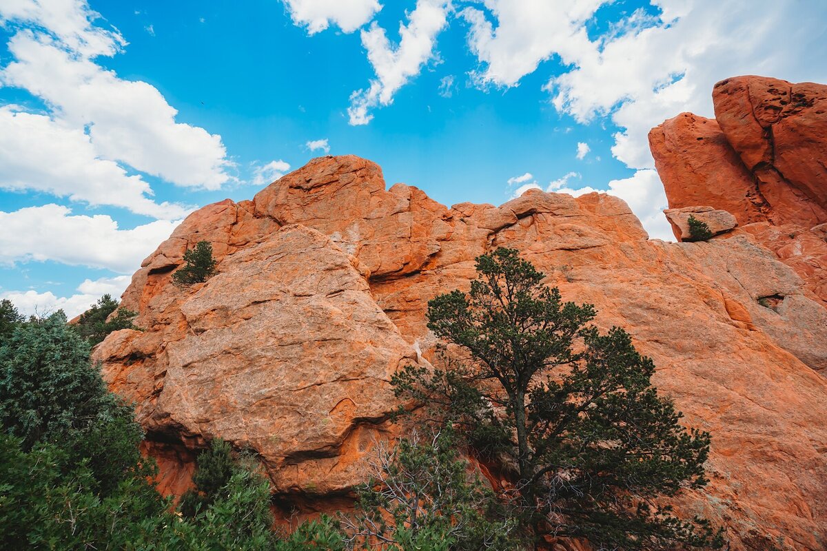 garden-of-the-gods_0435