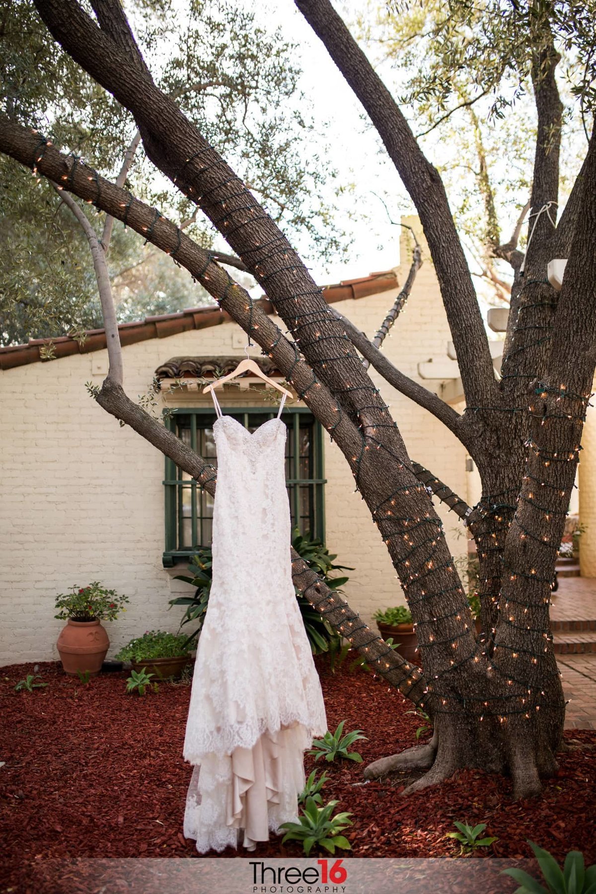 Wedding Dress hanging from a tree at Padua Hills Theatre