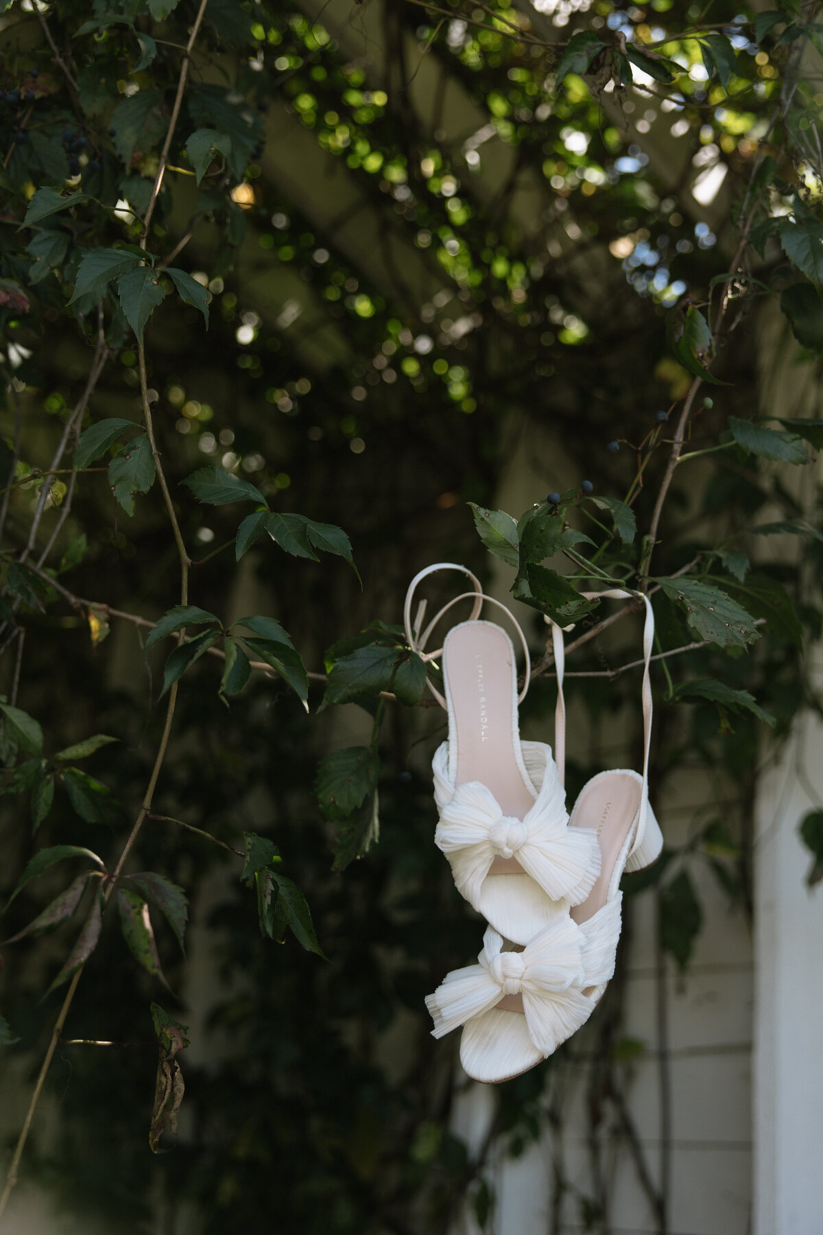RevelWoodsPhoto-0353
