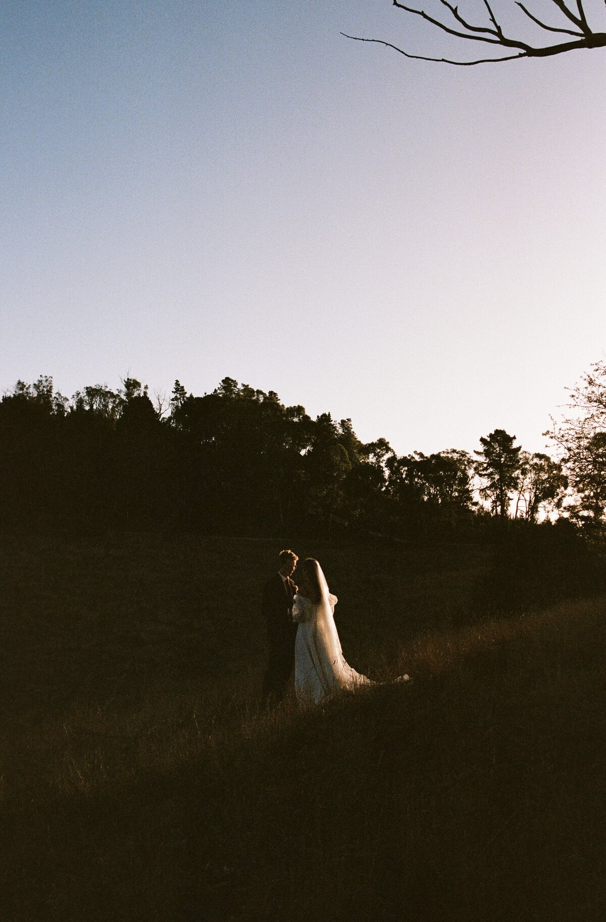 Evelina Katarzynski — photo 14 of 18