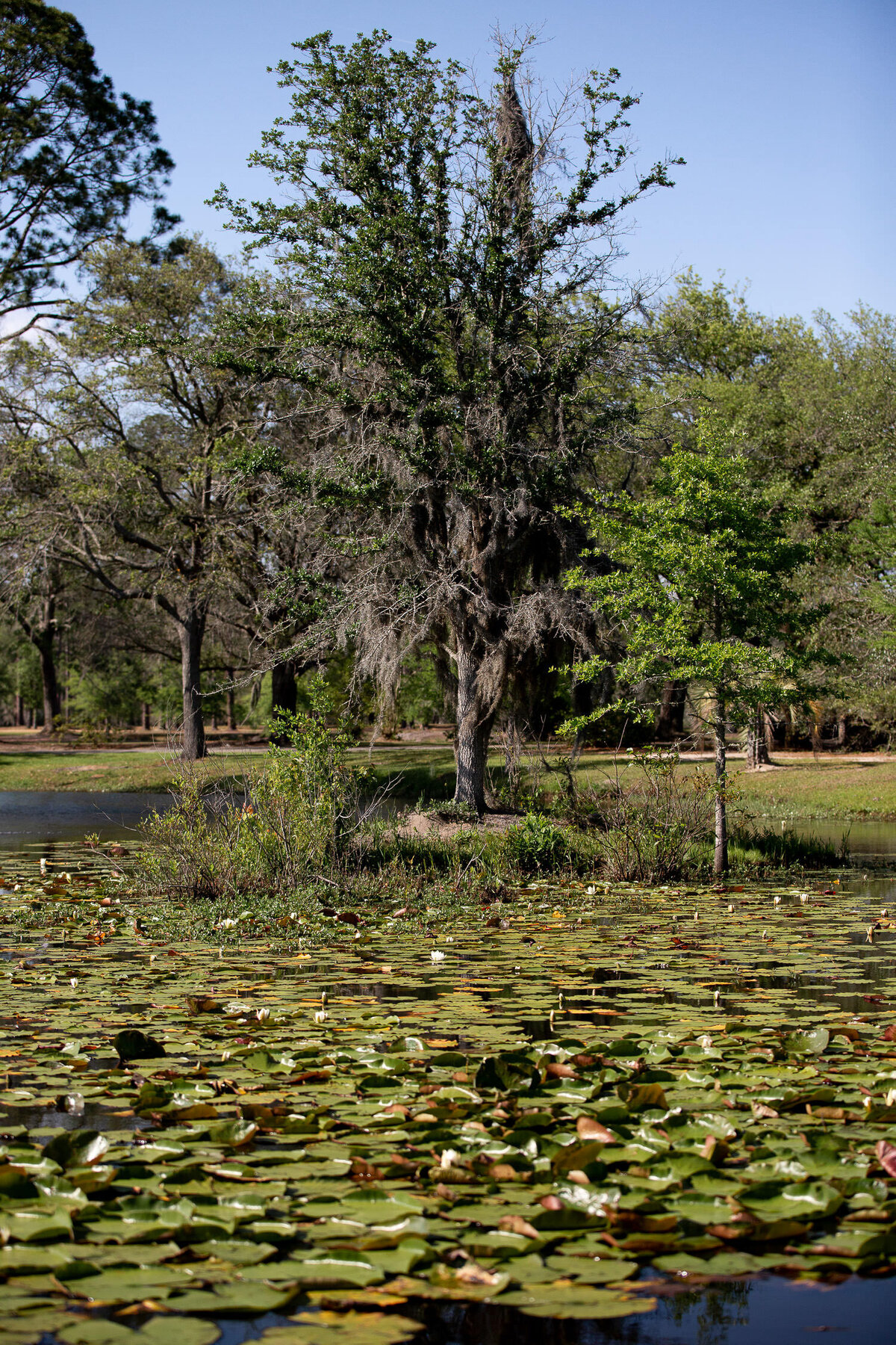 Best-Charleston-Wedding-Venue