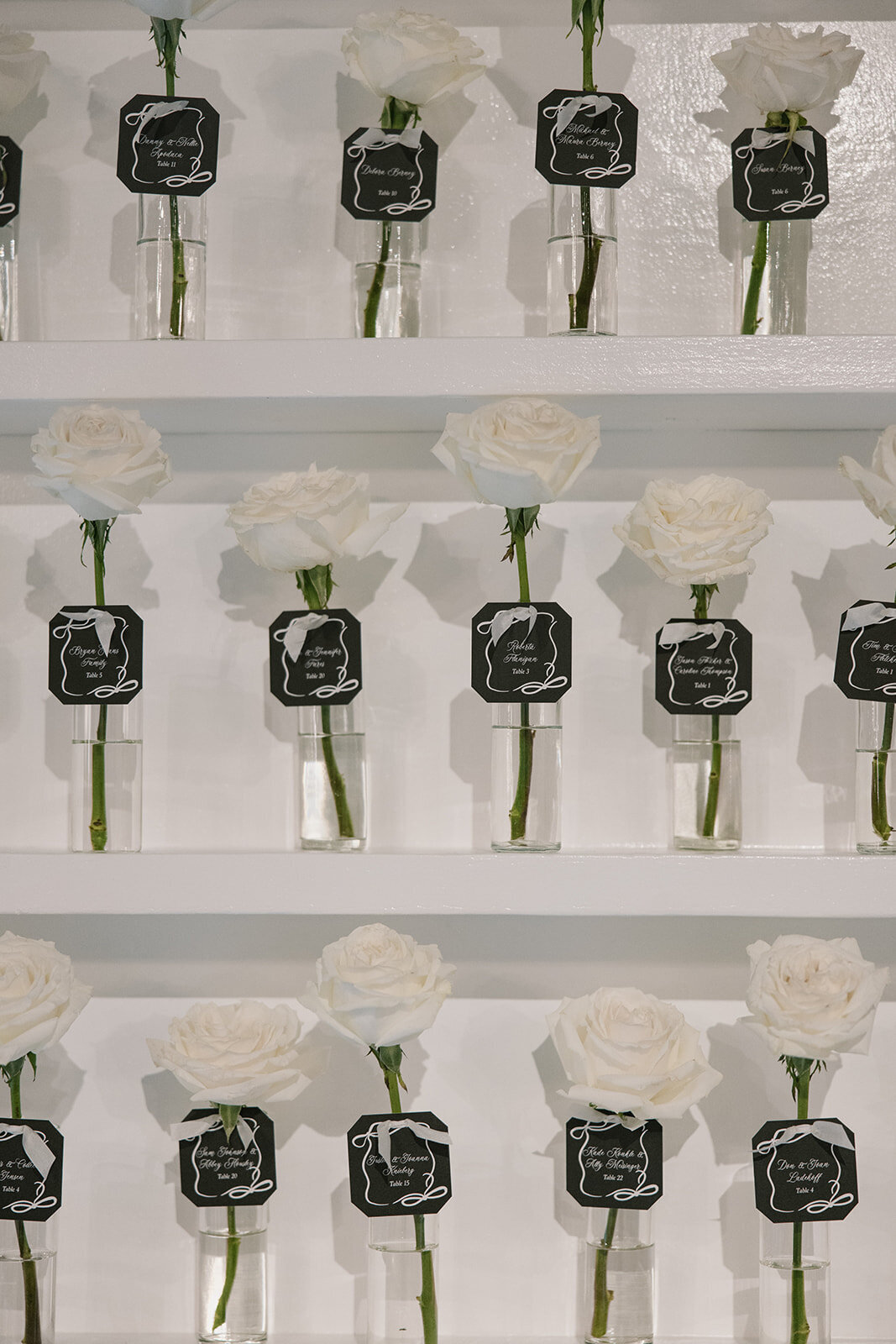 Sneaks B+C (Jess&Doz)-205