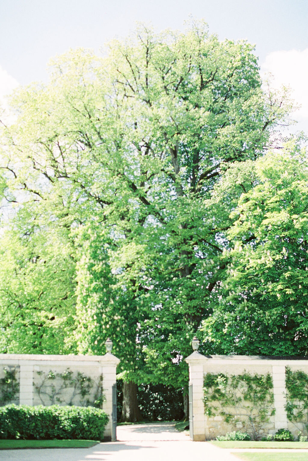 IRP-FranciaFilm24-8