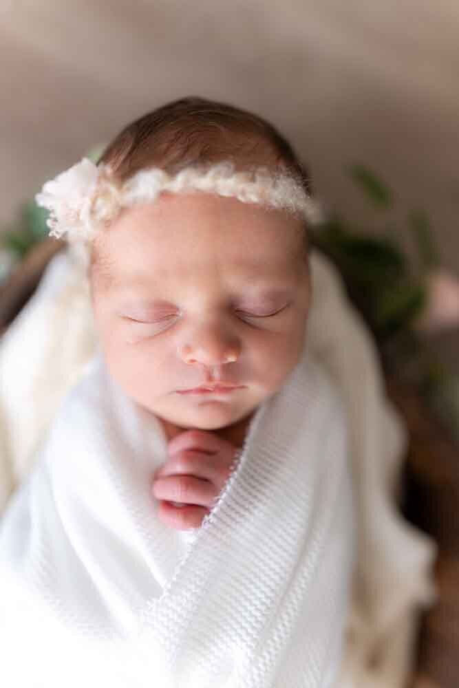 Elizabeth Priniski Madison Family Photographer Connie-8