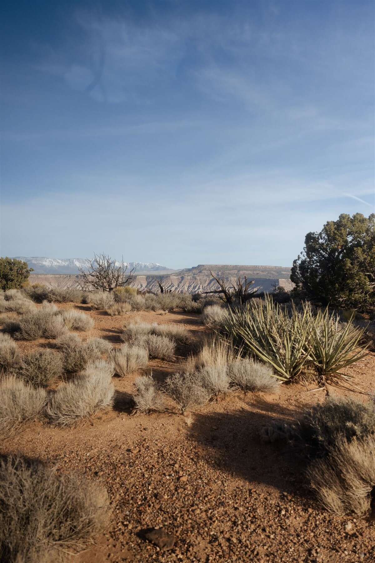 Zion-Elopement_Becca Photo-597_websize