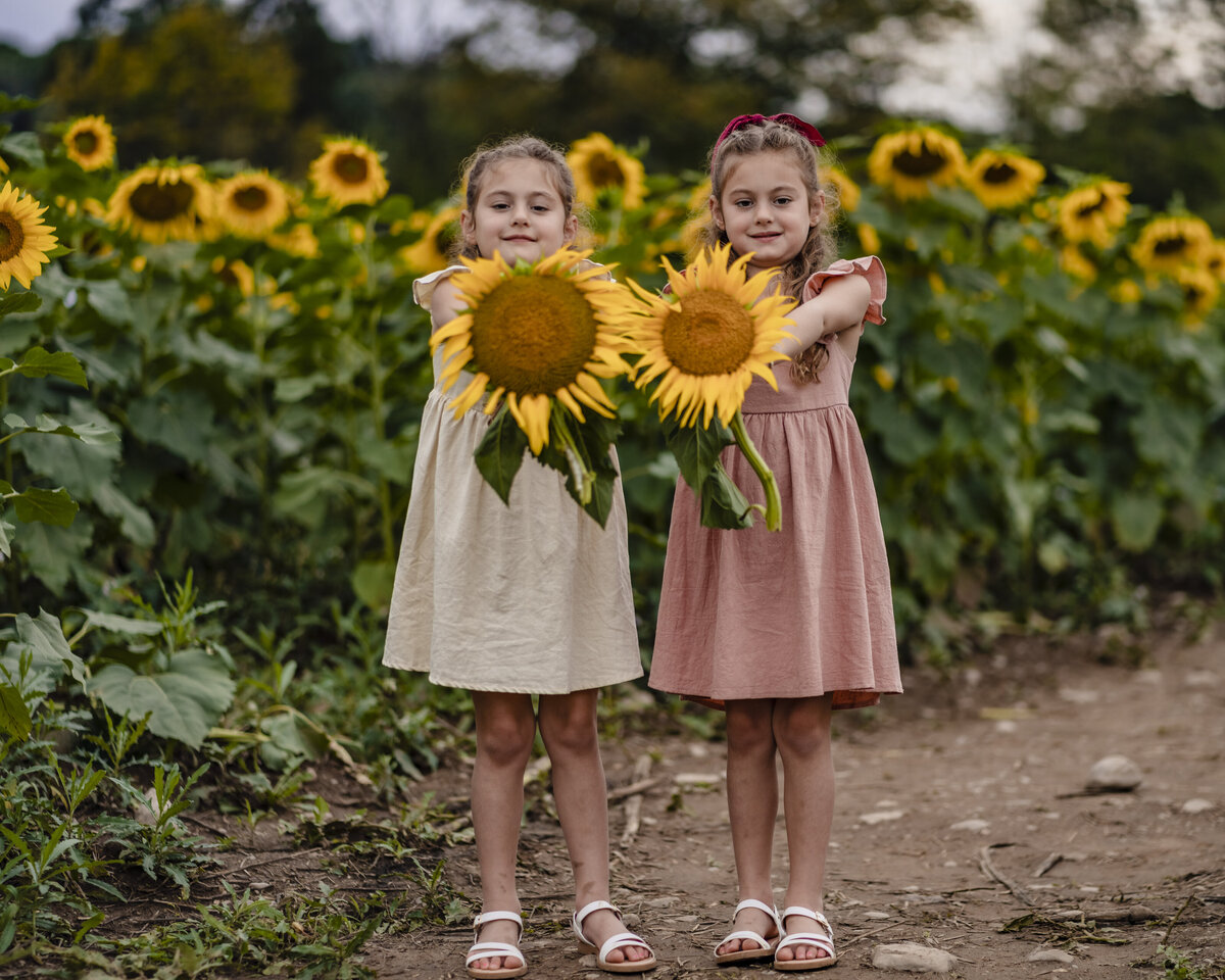 sussex country sunflower maze family photographs (23)