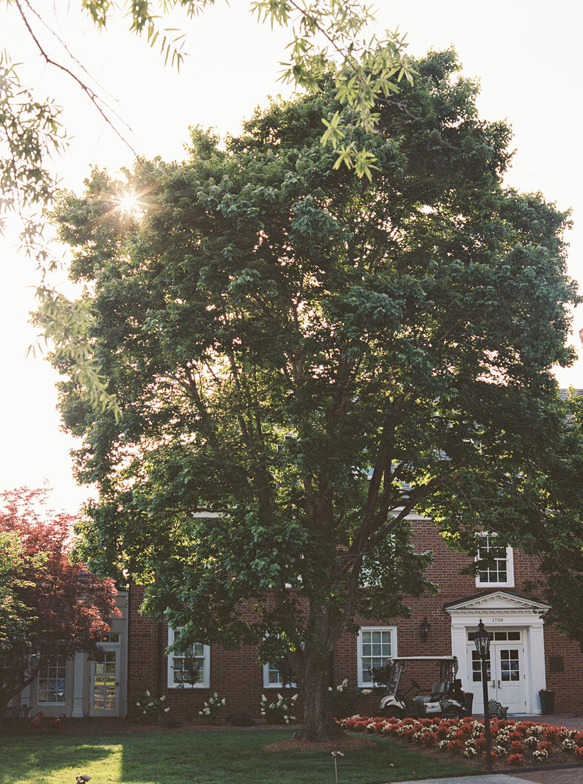 Virginia Wedding Photographer Natalie Jayne Photography-03