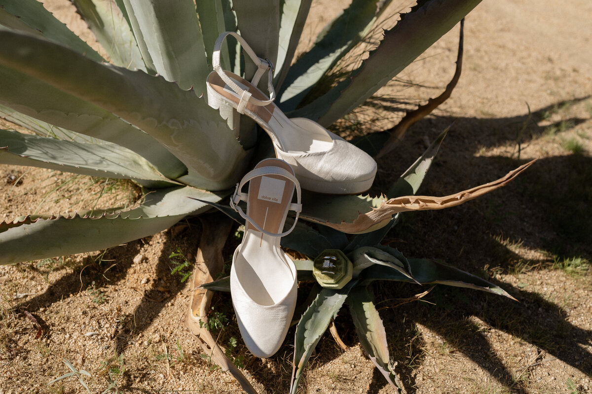 abstillsphotography_joshuatreeweddingphotographer-1086